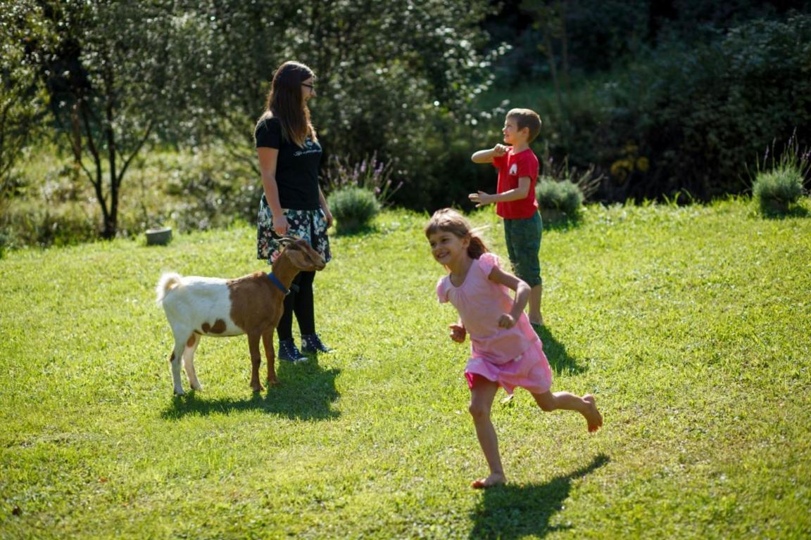 Kovacija Pri Kovacu Guest House Podvelka Eksteriør bilde